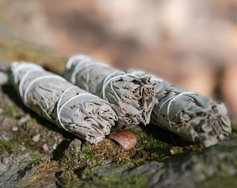 Sage Bundle - Incense for Smudging Cleansing and Purifying Your Home | Perfect Gift For Boho Decor and Housewarming | Ceremony Smudge Supply