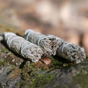 Smudge Kit with Sage Bundle & Palo Santo Incense | Home Cleansing Purifying, Self Care Healing Wellness, Anxiety Stress Relief Care Package