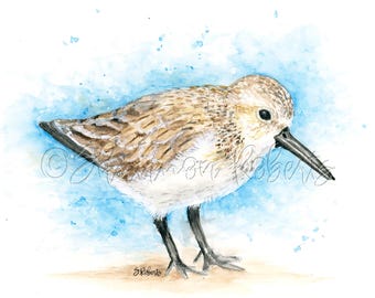 Coastal Wall Decor, Sandpiper Watercolor Art, Beach House Bird Print, Seabird Gift