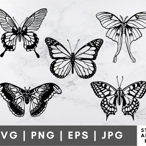 Butterfly Pack Clipart SVG, Hand-Drawn Illustration, Vinyl Cricut File, Butterfly Cut File