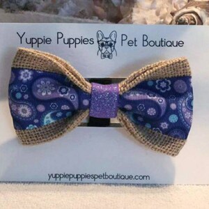 4x6 Bow Tie Cards Printed cat, dog, animal,horizontal personalized, display cards, boutique cards