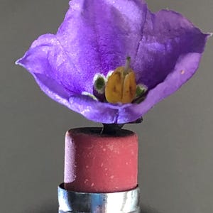 Könnte beinhalten: Nahaufnahme einer lila Blume mit gelbem Zentrum, die auf einem roten Radiergummi eines Bleistifts sitzt. Der Bleistift hat ein silbernes Metallband. Der Hintergrund ist einfarbig grau.