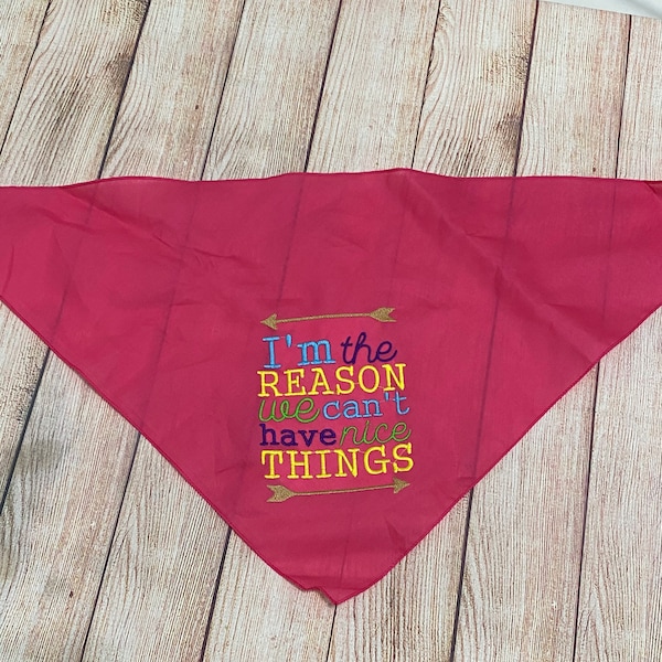 Dog Bandana, I’m the reason we can’t have nice things, cute pet saying, cat clothing