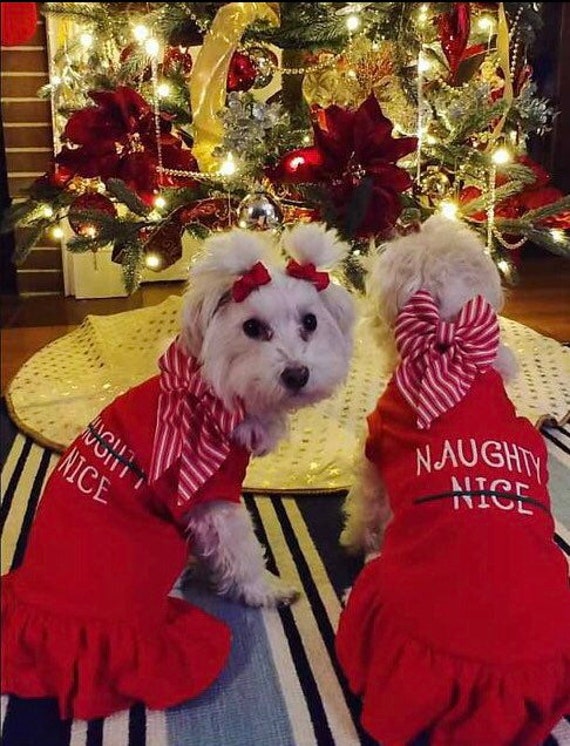 christmas dresses dogs Dog Dress, Dog Dress, Cat Dress, Dog Wedding Dress, Dog for Large Girl, Girl Puppy Princess Tutu Dress with Leash Ring, Fashion 1pc Material Dog Christmas Outfit Shirt or