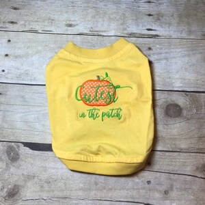 May include: Yellow dog shirt with an embroidered pumpkin and the text "Cutest in the patch".