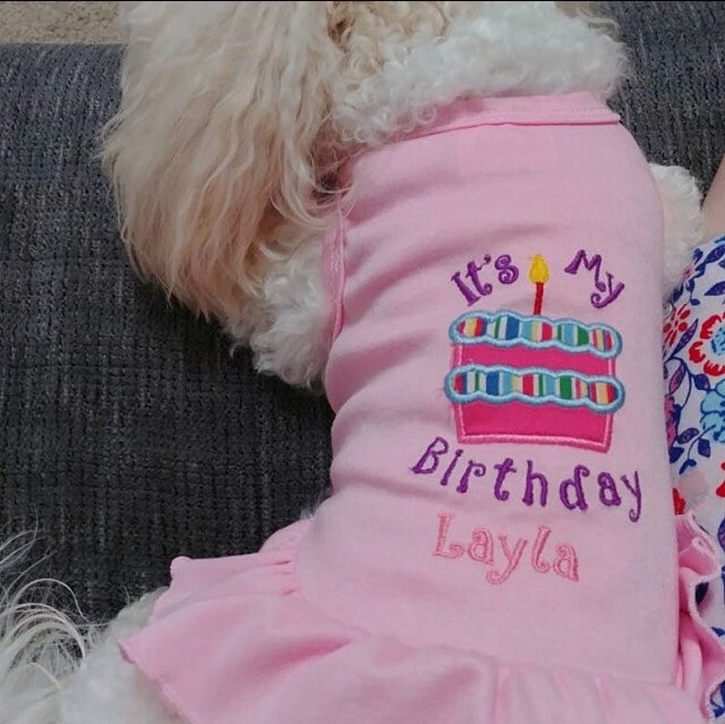 Birthday Shirt for Dog Cake Design Embroidered Pet Clothes Etsy