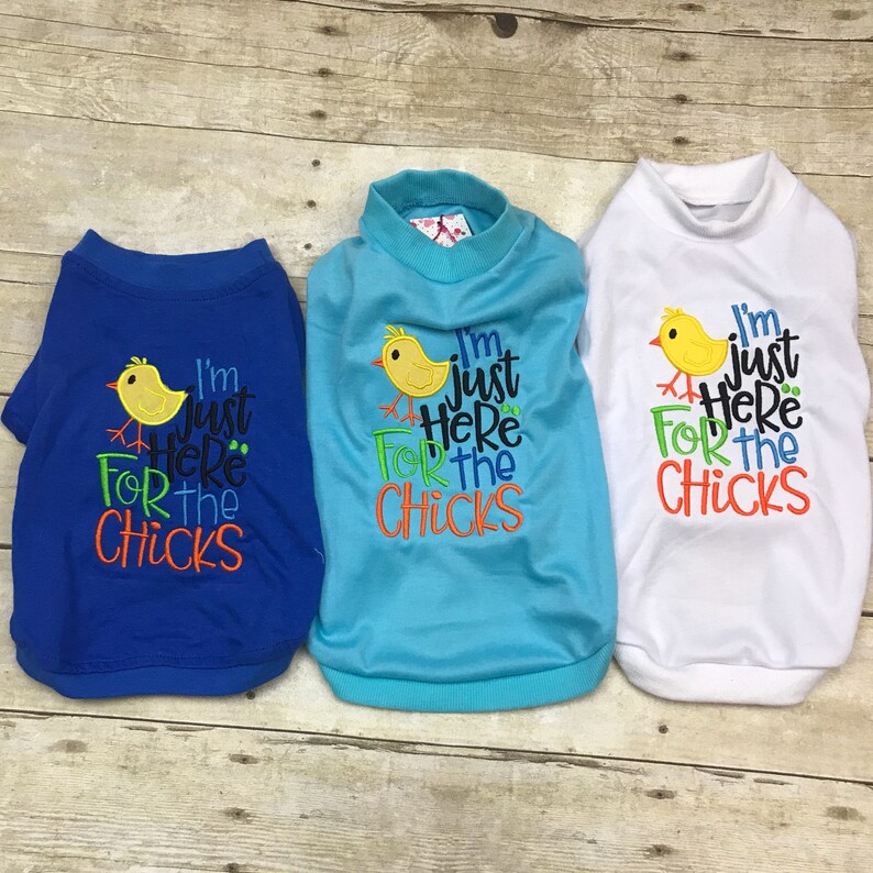 Dog Easter Shirt or Dress I'm just here for the chicks Etsy