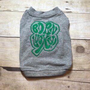 May include: Gray dog shirt with a green shamrock design that says "Born Lucky" in a stylized font.