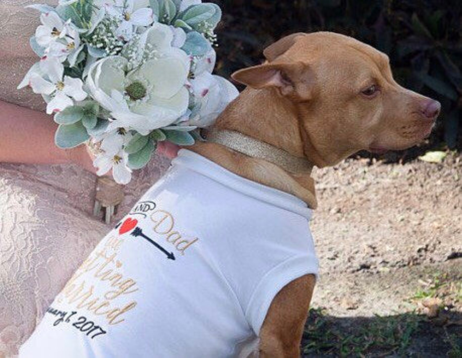 Large Dog Shirt Big Dog Shirt Special Listing for Shirts for Etsy