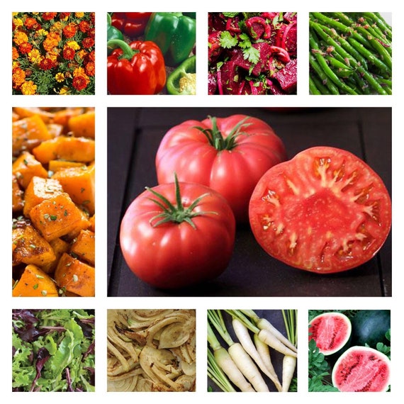 10 Bulk Vegetable Seeds Brandywine Tomato Bell Pepper Mixed Etsy