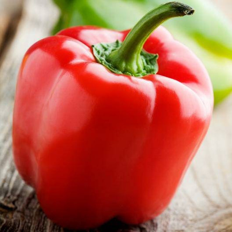 Heirloom Red Bell Pepper Seeds Sweet Pepper Vegetable Seeds Etsy