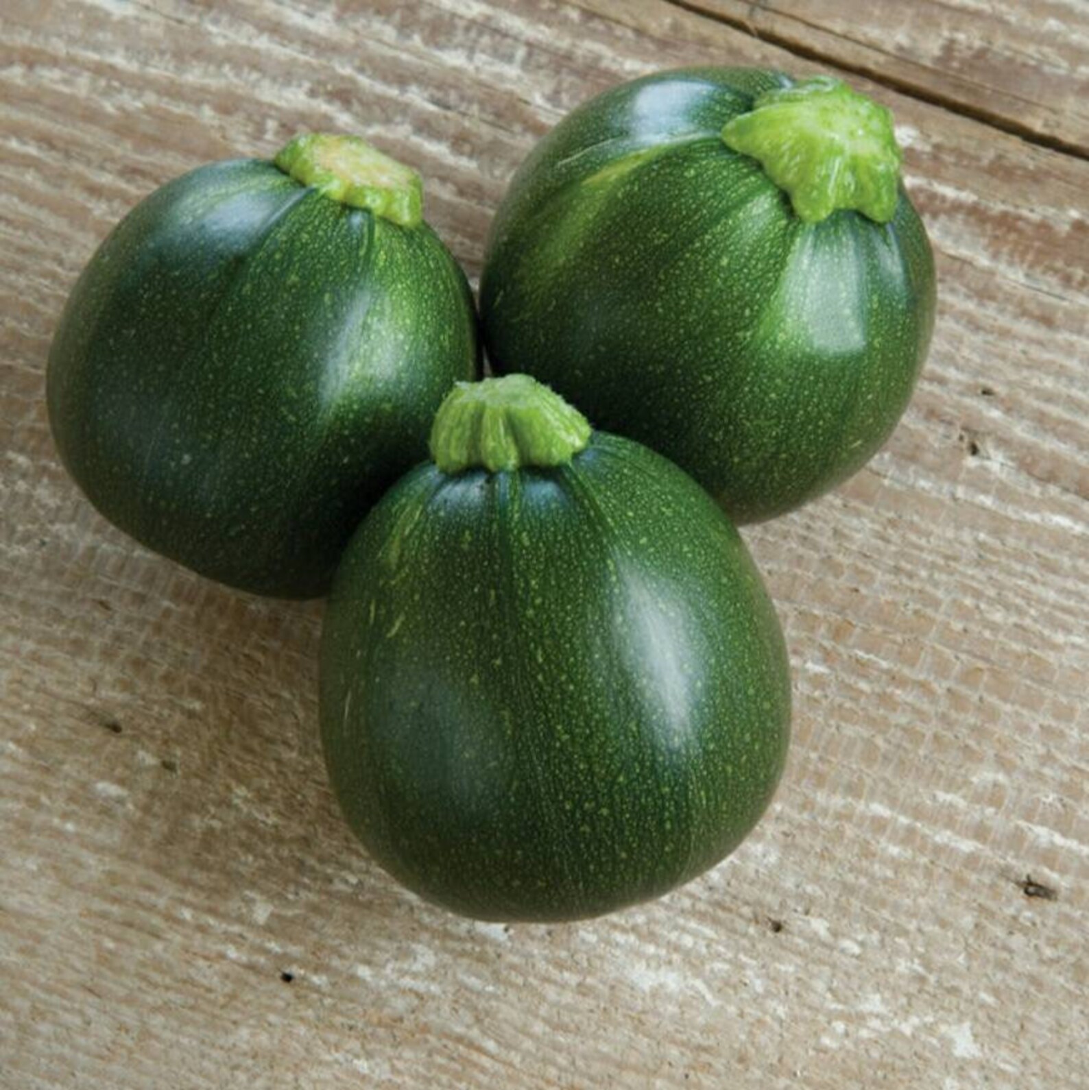Organic Round Zucchini Seeds Vegetable Garden Heirloom Non Etsy