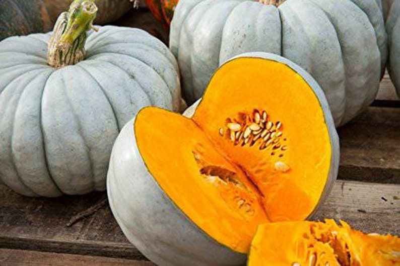 Heirloom Sweet Meat Squash Seeds Squash Seeds Vegetable Etsy