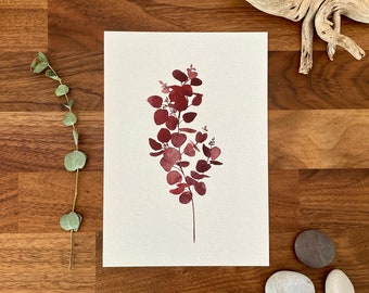 Aquarelle Eucalyptus rouge