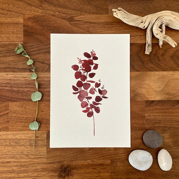Red Eucalyptus Watercolor