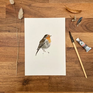 Aquarelle rouge gorge