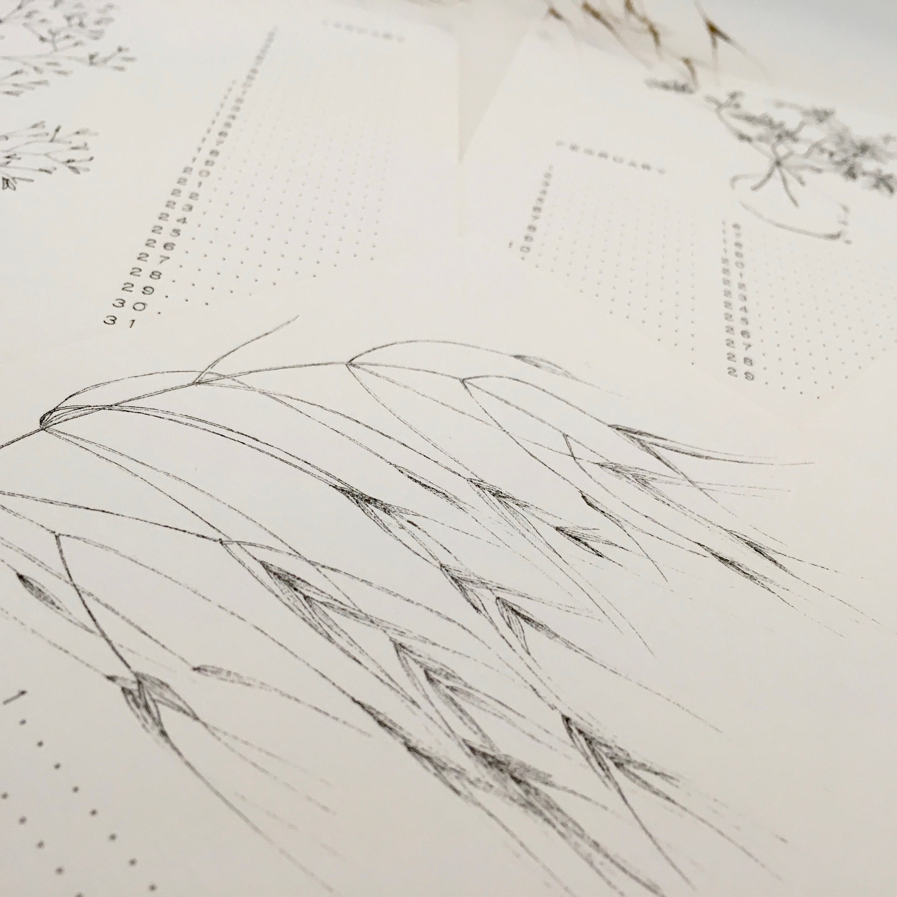 Ewiger Kalender Wandkalender Geburtstagskalender Ewiger | Etsy