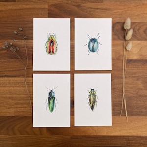 Insect postcards image 1