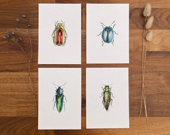 Cartes postale insectes