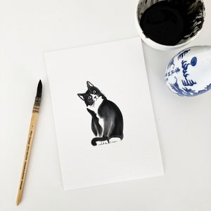 Cat drawing