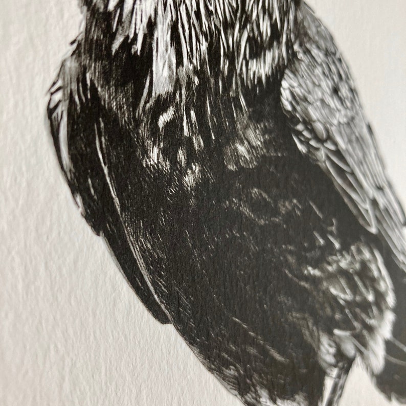 Raven Drawing image 5