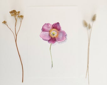 Watercolor Anemone