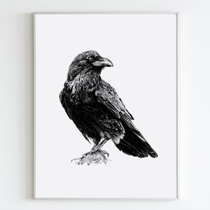Raven Drawing image 1
