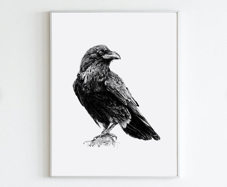 Raven Drawing image 1
