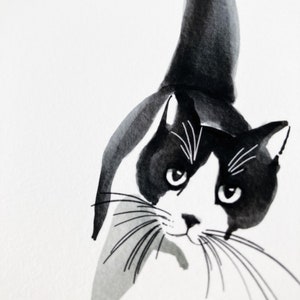 Indian ink cat image 4