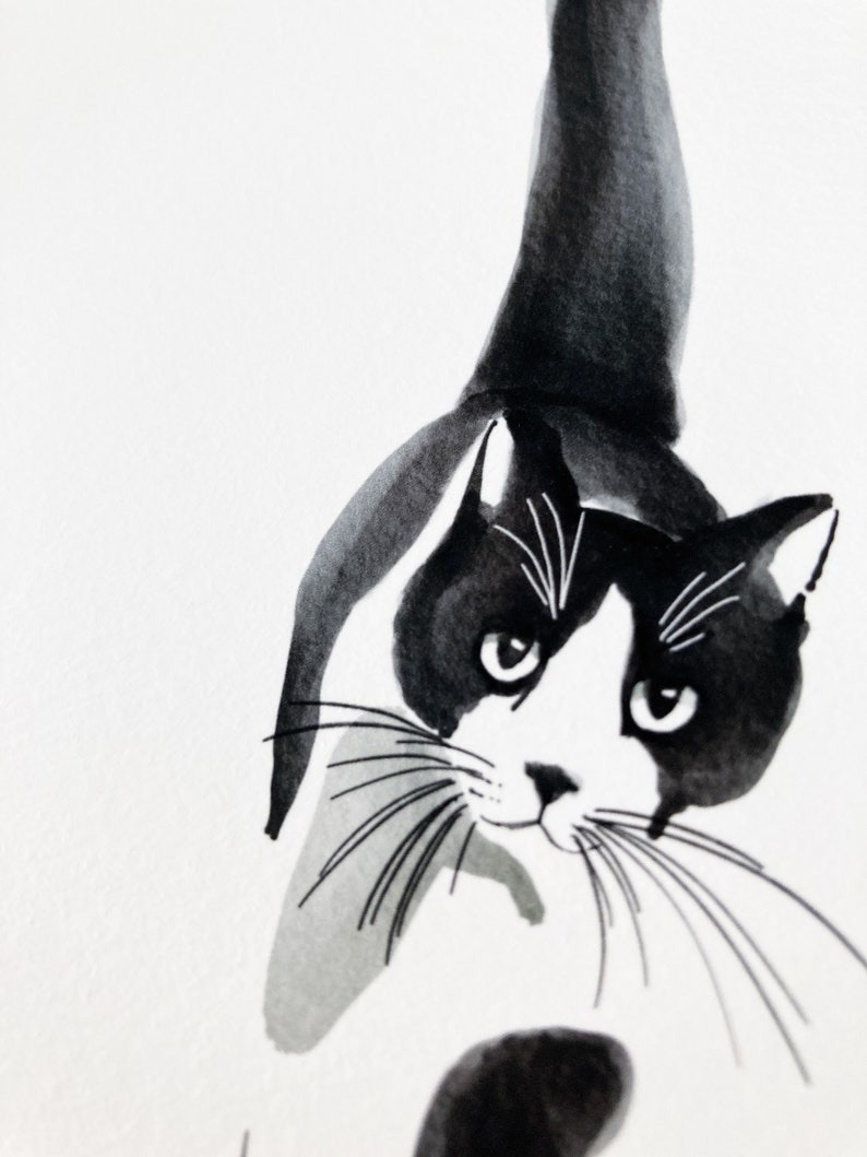 Indian ink cat image 4