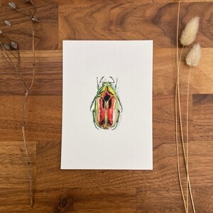 Insect postcards image 3