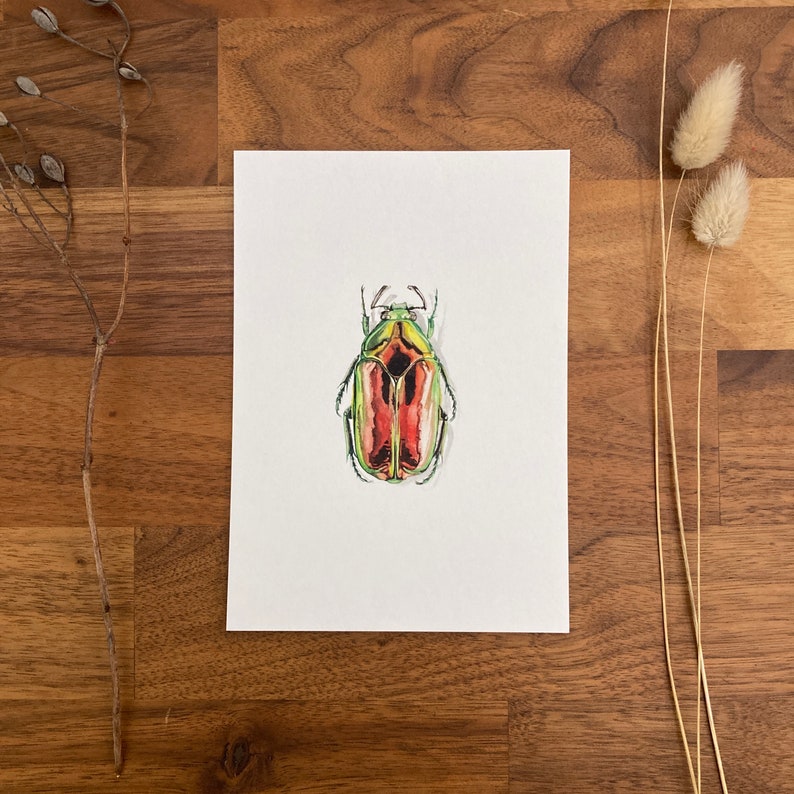 Insect postcards image 3