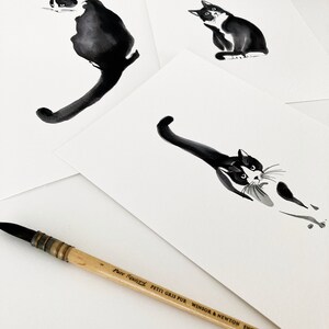 Indian ink cat image 5