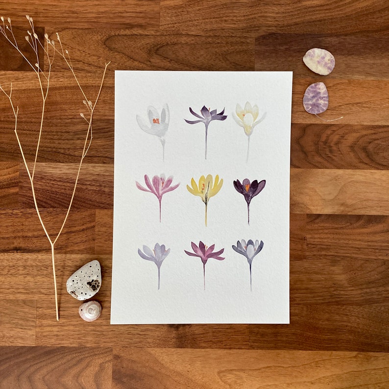 Aquarelle Crocus image 1