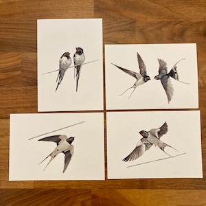Carte postale hirondelle x 4