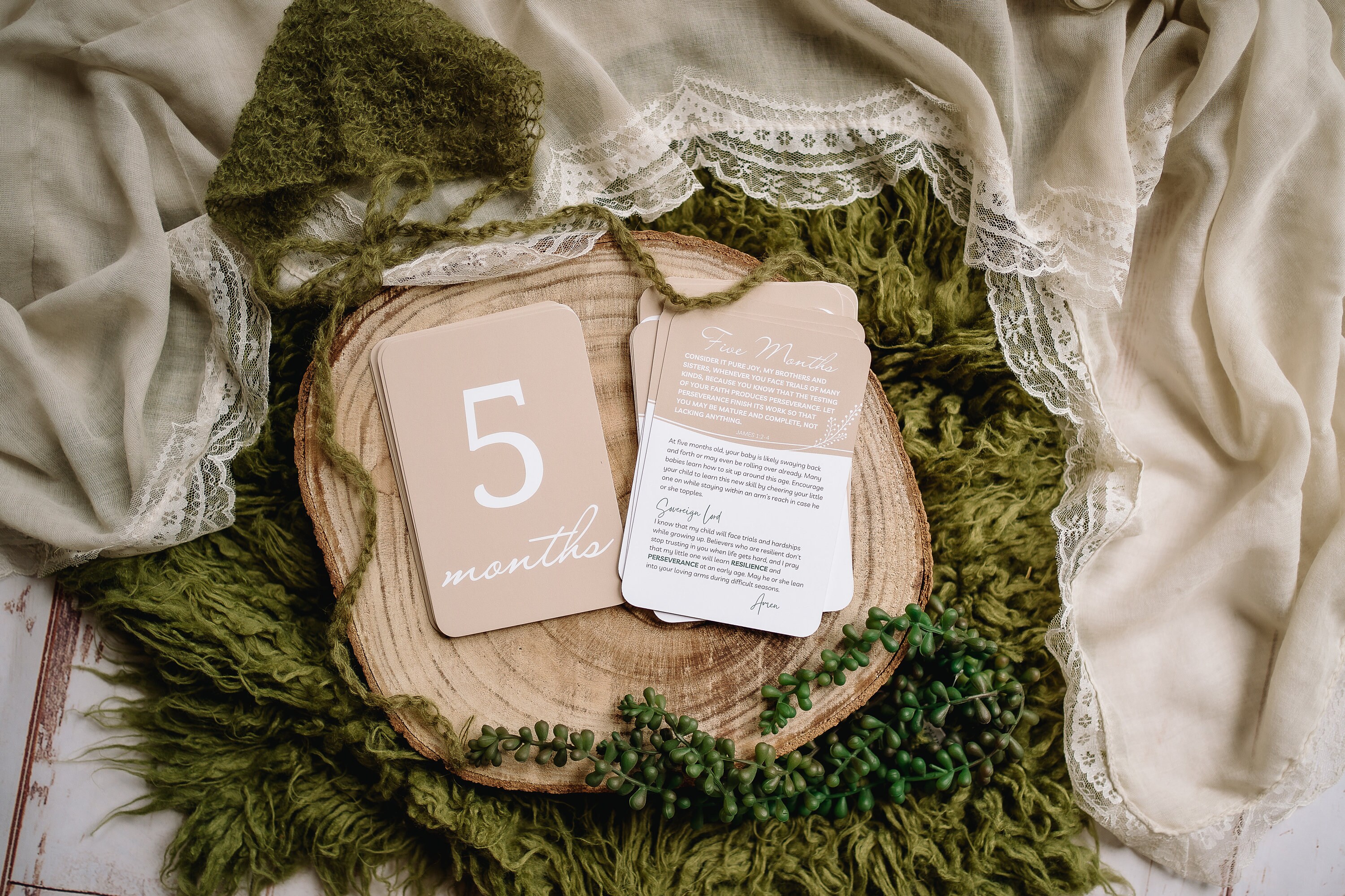 Prayer & Milestone Cards for Baby's First Year | Baby Monthly Milestone ...