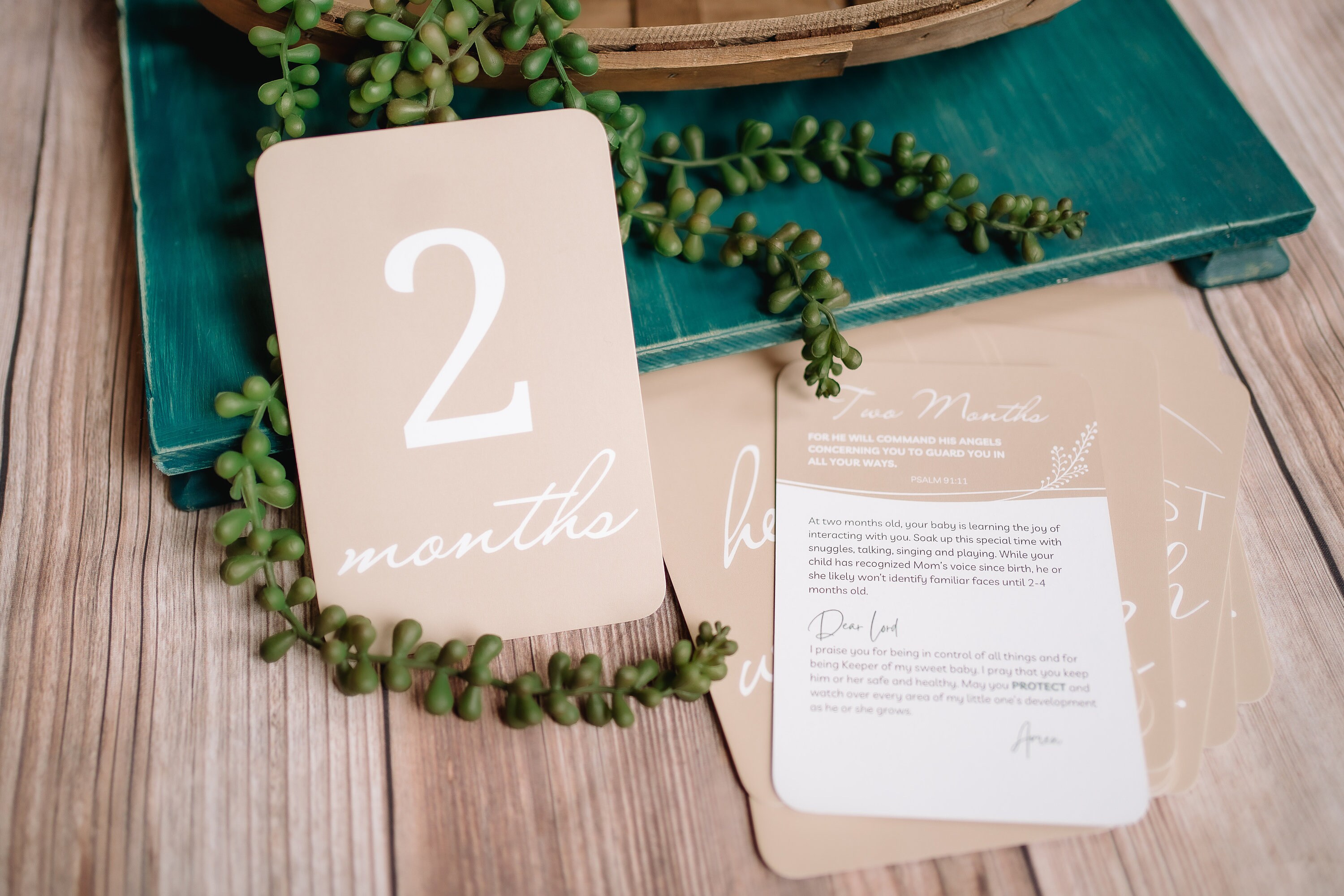 Prayer & Milestone Cards for Baby's First Year | Baby Monthly Milestone ...