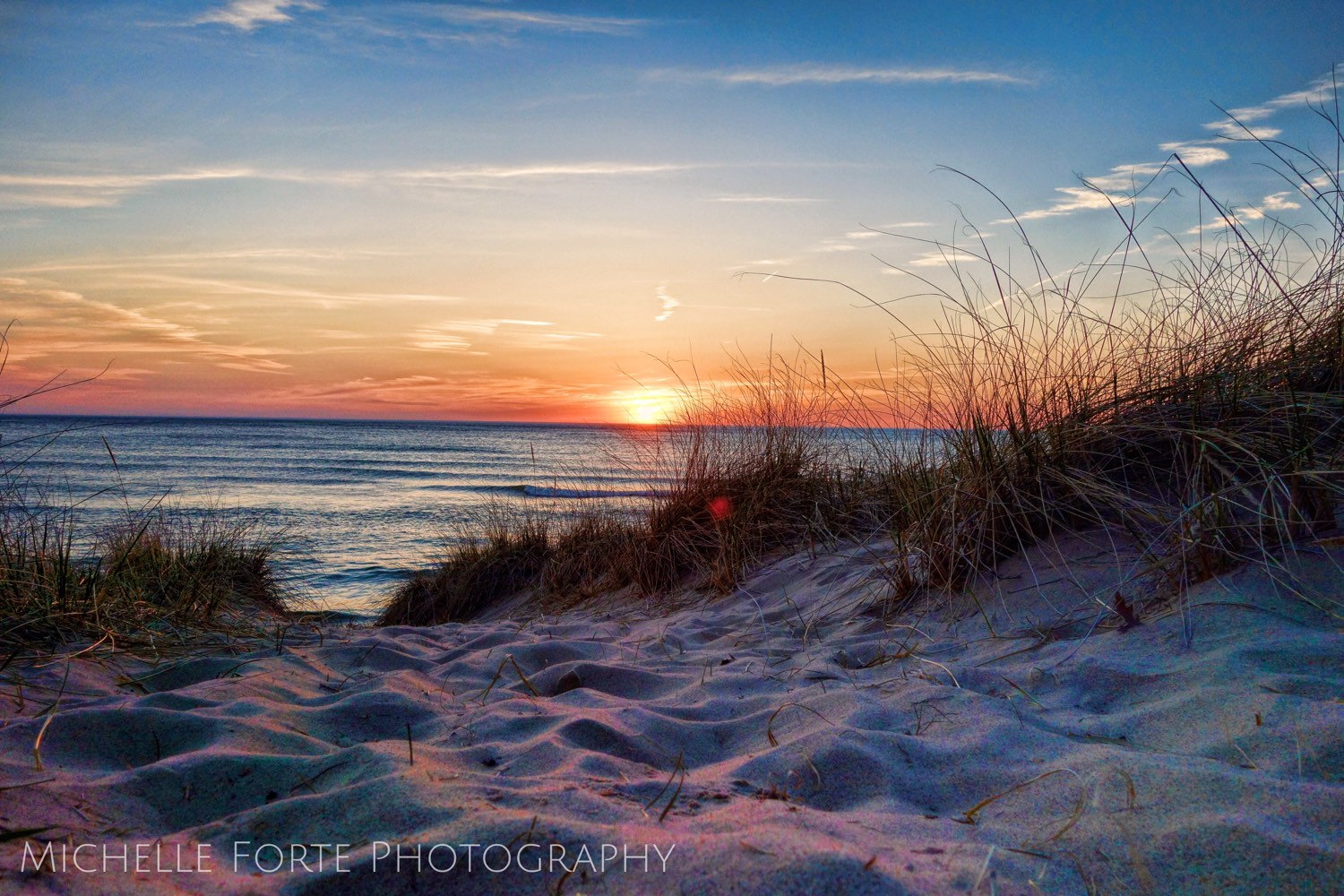 Michigan Landscape Photography Saugatuck Dunes Seagrass Sunset | Etsy
