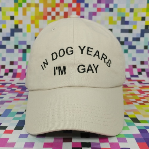 In Dog Years I'm Gay Cap