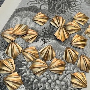May include: A collection of 20 gold-colored metal scallop shell-shaped embellishments. The embellishments are scattered on a page from an old book with an illustration of sea anemones.
