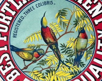 Antique Barrel Label 1920s Birds Vintage Portland Cement Litho Round Large Vintage Advertising Best Bird Multicolor Lithography Old
