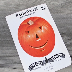 Pumpkin Seed Packet Vintage 1940s 1950s Jack O Lantern JOL Halloween Decoration Antique Seeds Autumn 40s 1950s Gardening Fall Orange Old image 10