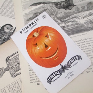 Pumpkin Seed Packet Vintage 1940s 1950s Jack O Lantern JOL Halloween Decoration Antique Seeds Autumn 40s 1950s Gardening Fall Orange Old image 9