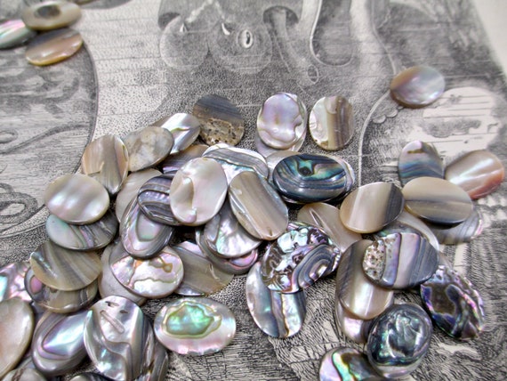 Big Bright Iridescent 20mm Round Flat Back Paua Shell Cabochon Embellishment