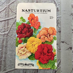 May include: A vintage seed packet for Nasturtium Glorious Gleam Hybrids. The packet features a colorful illustration of vibrant flowers in shades of red, orange, yellow, and cream, with green foliage. The text on the packet includes the name of the flower and the seed company.