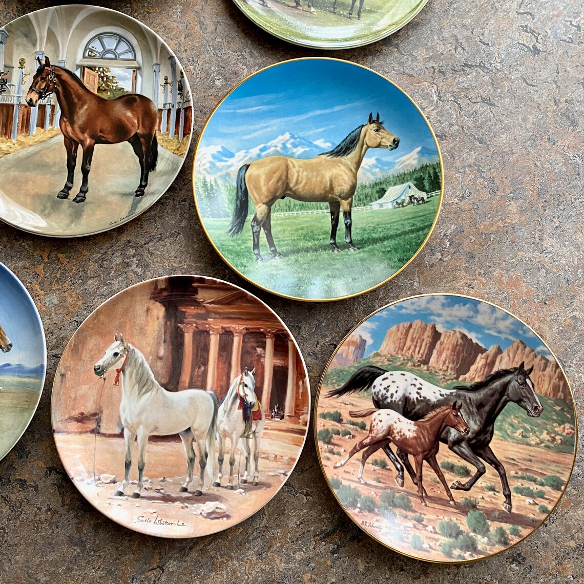 13 vintage Horse Plates Horses Large Plate Lot années 1980 Etsy