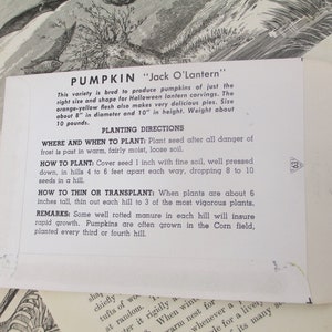 Pumpkin Seed Packet Vintage 1940s 1950s Jack O Lantern JOL Halloween Decoration Antique Seeds Autumn 40s 1950s Gardening Fall Orange Old image 6