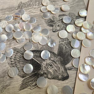 May include: A collection of iridescent, round mother-of-pearl shell beads scattered on a vintage illustration of fish. The beads are a mix of white and iridescent colors. The background is a faded, textured surface.