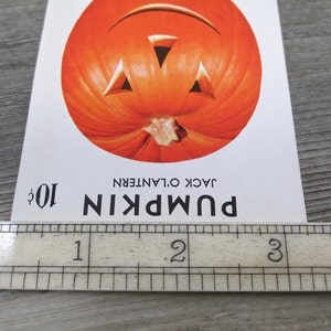 Pumpkin Seed Packet Vintage 1940s 1950s Jack O Lantern JOL Halloween Decoration Antique Seeds Autumn 40s 1950s Gardening Fall Orange Old image 4