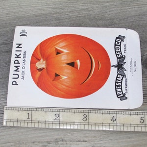 Pumpkin Seed Packet Vintage 1940s 1950s Jack O Lantern JOL Halloween Decoration Antique Seeds Autumn 40s 1950s Gardening Fall Orange Old image 3